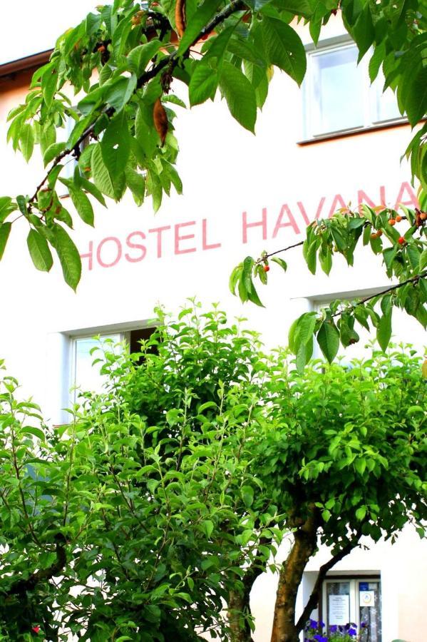 Hostel Havana Чеський Крумлов Екстер'єр фото